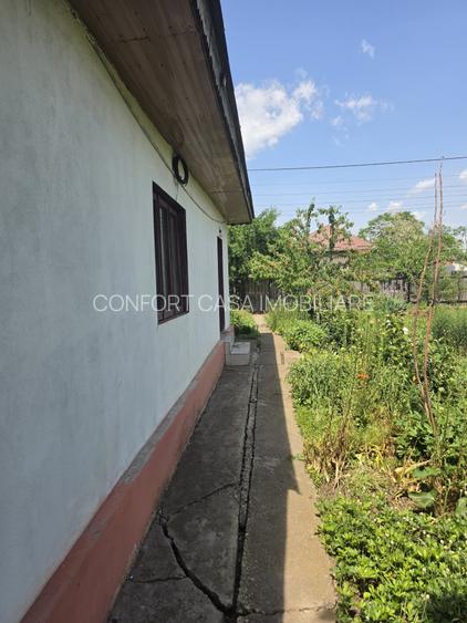 Vanzare casa Lehliu-Comuna Dor Marunt - 3