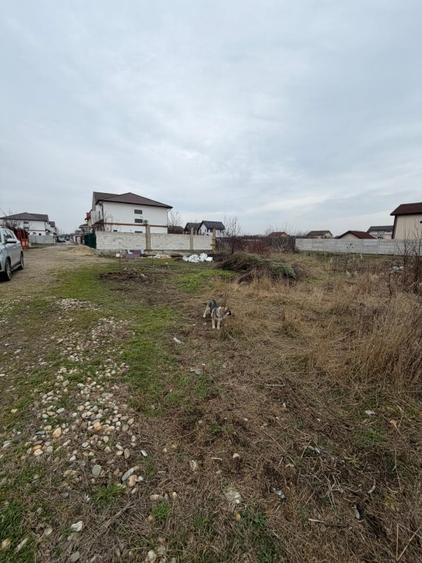 Teren Intravilan de Vanzare Aeroportului Cornetu