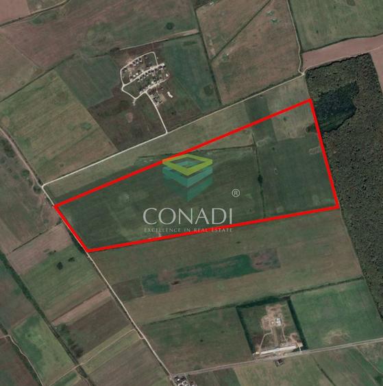 Corbeanca- Teren 45 Ha cu PUZ aprobat