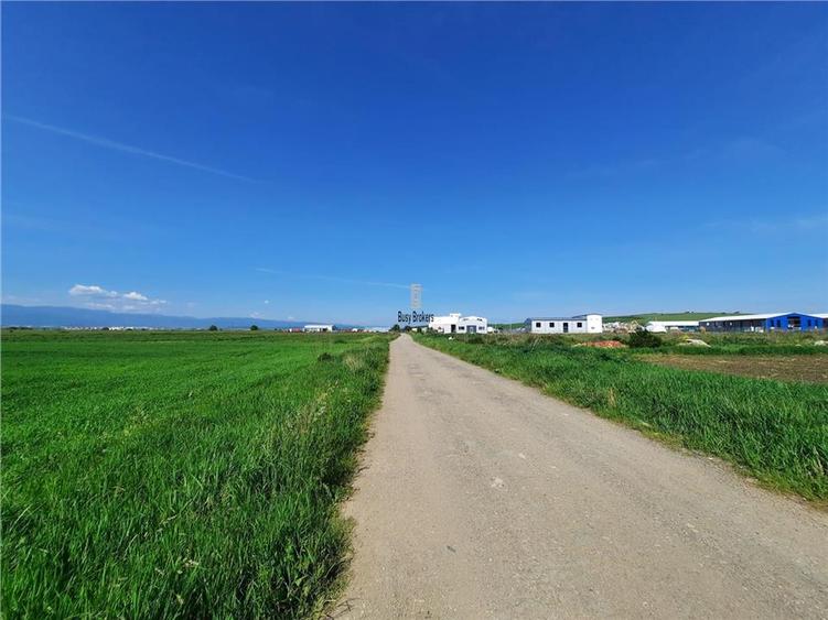 Teren Sibiu - Calea Surii Mari - 4500 mp