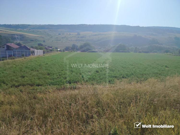 TEREN PENTRU DEZVOLTARE IMOBILIARA - 7.092 MP - CORUSU, BACIU - 4