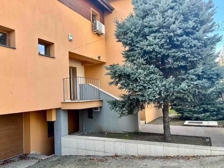 Casa /vila individuala Dumbrăvița str Ferventia