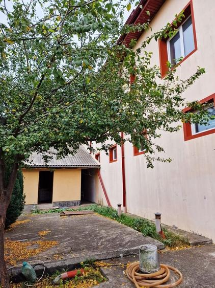 VIND VILA CU SPATIU INDUSTRIAL LOCUIT (pretabil la orice activitate) DASCALU IF