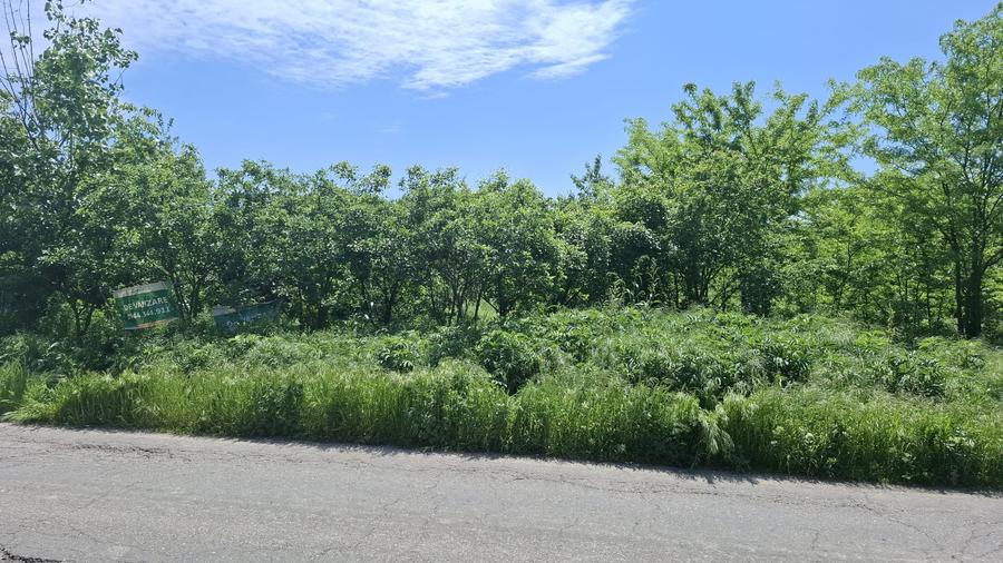 Com. Buturugeni, sat Posta, stradal DJ 412A, intravilan, 2720 mp