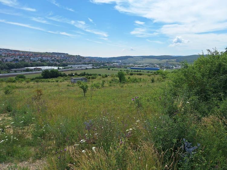 Teren intravilan 5.800 mp, Baciu Vatra Satului Vechi, Panorama superba