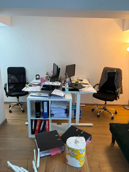 VILĂ ELEGANTĂ D+P+1+2+M – STRADA TURNUL EIFFEL | BIROURI / REZIDENȚIAL