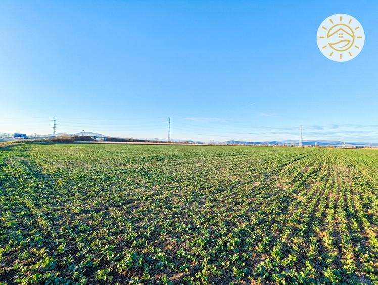 Teren intravilan 22800mp la 2km de Parcul Industrial Prejmer