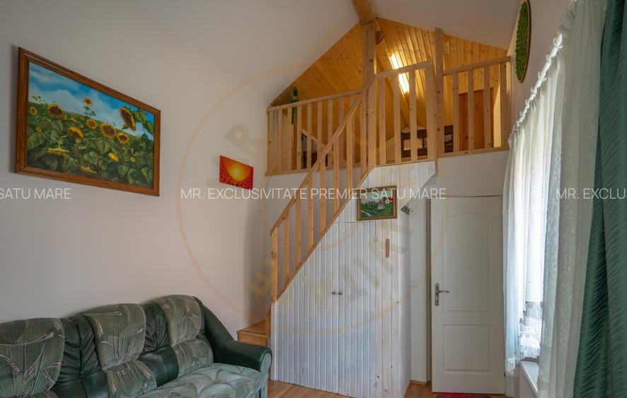 De Vânzare Casă Vânătorilor 9 ari teren - 18