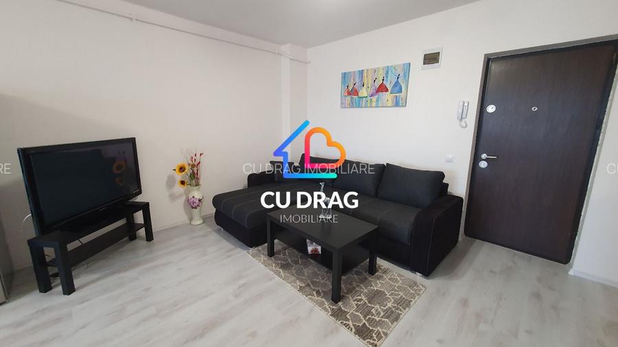 Ap de inchiriat Doamna Stanca - 3