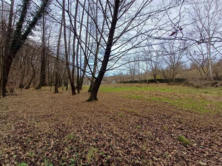 Resita, Teren Drept Intravilan, Langa Prau si Drum, Parcelabil, 4500 Mp., 15 Eur