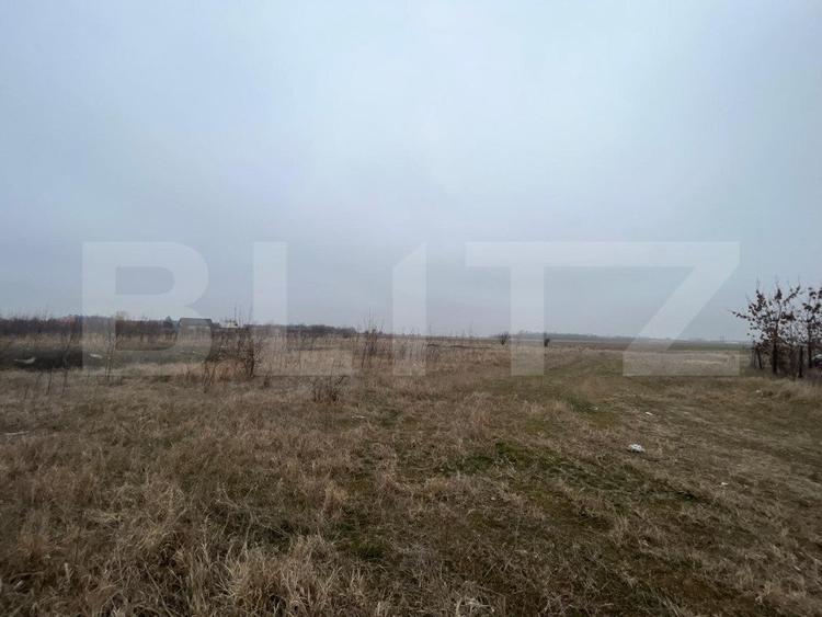 Teren 50.000 mp, zona Peugeot