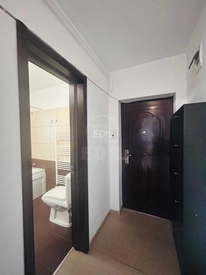 Apartament 1 camera decomandat zona Sub Cetate - 15