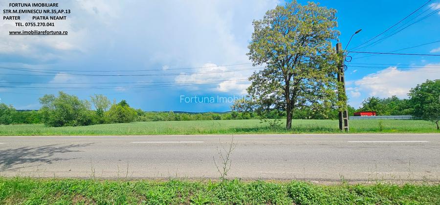 Proprietate com.Bodesti, casa+ anexe + teren 7122 mp - 13