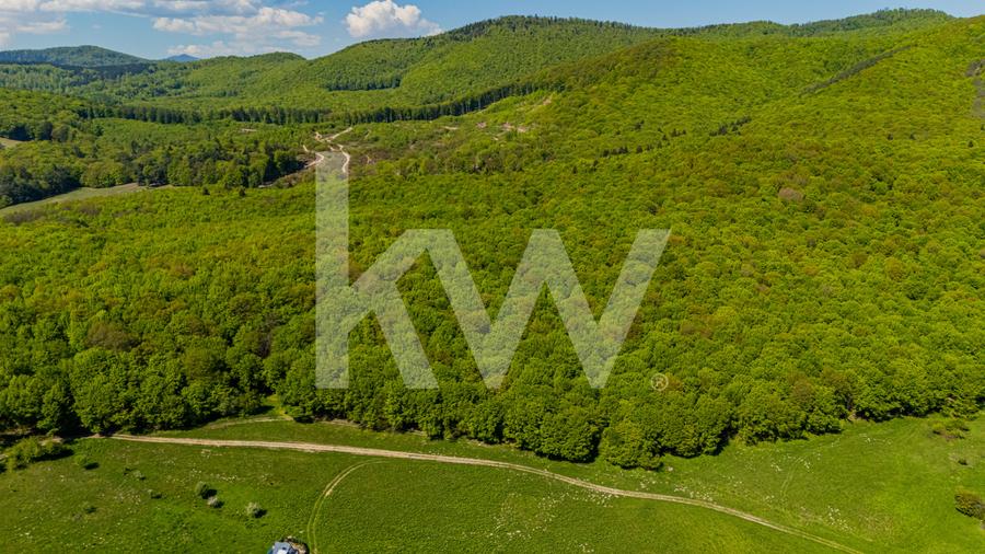 Teren 1500 mp | Zona Viesel – Codlea | Priveliște Superbă | Investiție