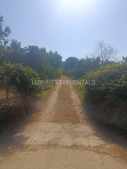 TEREN DE VÂNZARE – CREVEDIA, 96000 MP – cu trei intrari din DN1A - 5