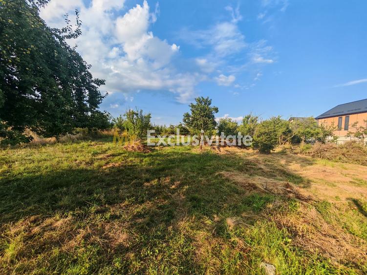 Teren intravilan 1.600 mp Mioveni – Zona Pruni