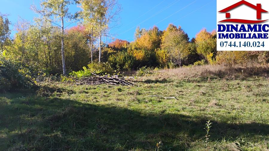 3600 mp teren intravilan, sat Bistrita, 12 Euro/mp