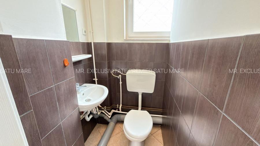 Spațiu Comercial Stradal 30 mp/Trafic Intens Auto și Pietonal/C.A.Române - Carei - 8