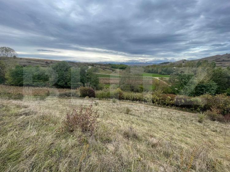 Teren Extravilan, 2800mp Perfect pentru Investitie