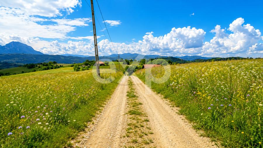 PANORAMA POIANA MĂRULUI | Terenuri cu potențial de dezvoltare