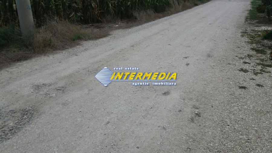 Teren Intravilan 11.150 mp deschidere 38 m. PUZ aprobat P+3 toate utilitatile