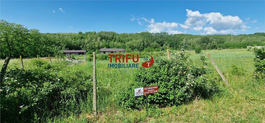Teren de vanzare zona Teleac