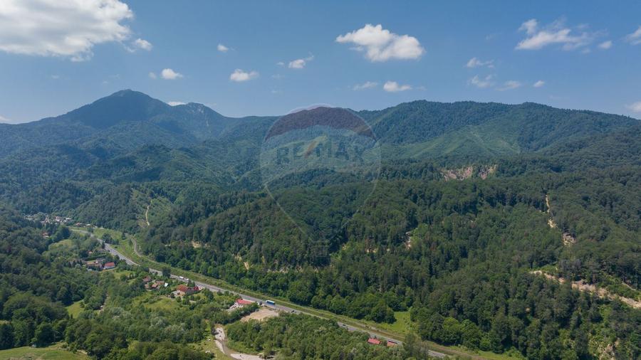 Teren intravilan, 3500 mp, Dâmbu Morii