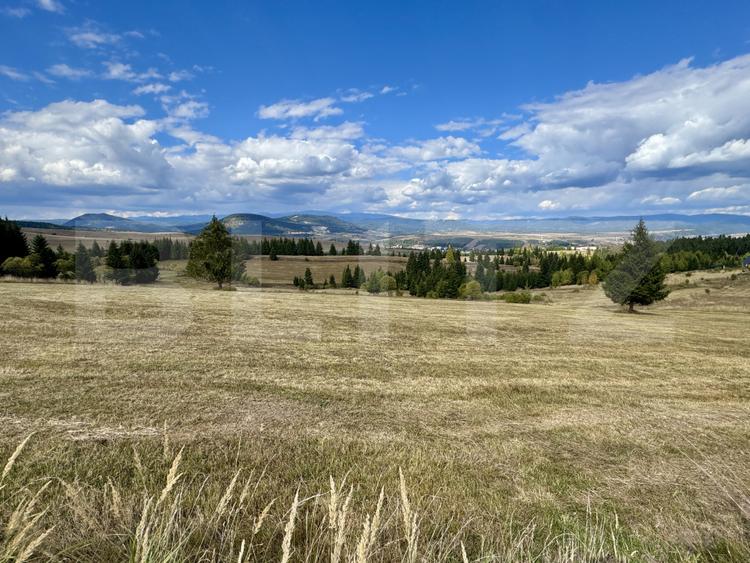 Teren de vanzare-ideal pentru cabane-lângă pârtia de schi din Toplița