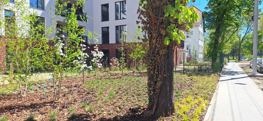 Apartament de 3 camere Timisoara, central,  76.8 mp utili