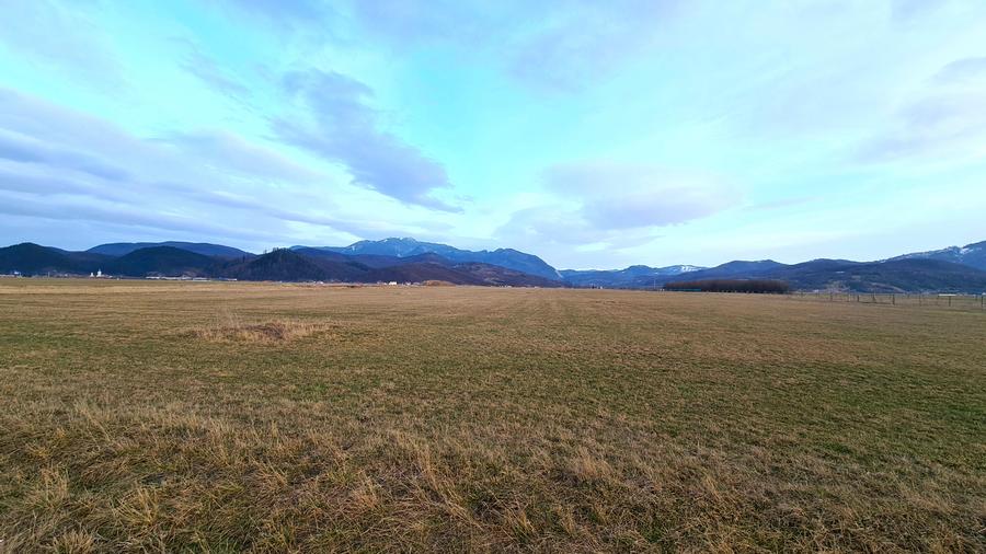 TEREN 5000 mp EXTRAVILAN LANGA SENS GIRATORIU RASNOV - PANICEL