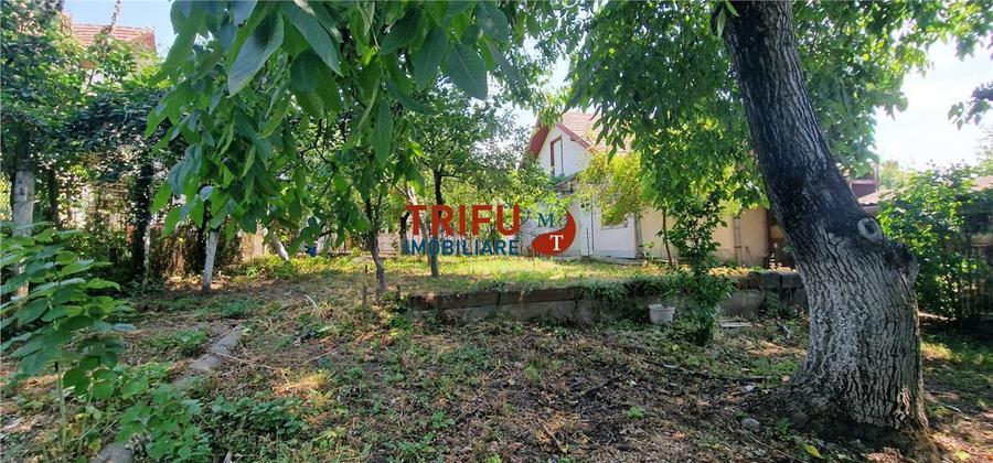 Casă individuală cu curte verde, pe cea mai frumoasă stradă