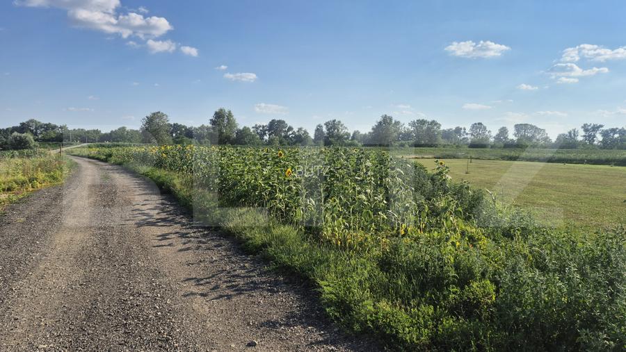 Teren intravilan de vanzare, 3800 mp, zona Titulescu - 2
