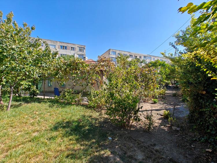 VANZARE TEREN MANGALIA