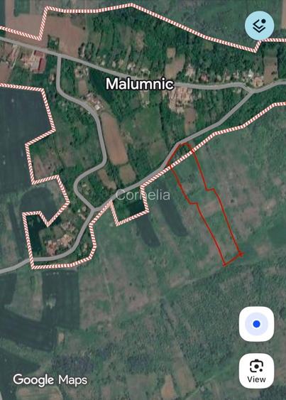  Casă bătrâneasca 1009 mp+ extravilan (6000 mp)de vânzare în satul Malumnic  - 4
