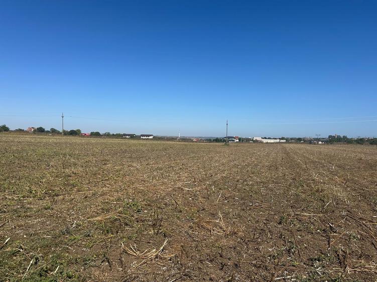 Exclusiv ! TUZLA - teren 10.000 mp cu deschidere 37 mp (Cod E8)