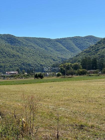 Teren industrial,Cucului-INA-Avicola