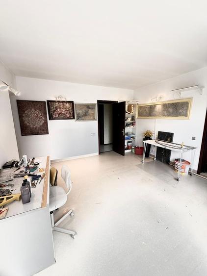 Vila/Spatiu comercial Bd Pipera