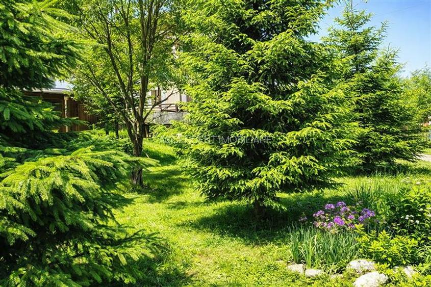 Locatie cu patru anotimpuri intr- o zi, incadrata de 2.350 teren, Bran - Fundata - 5