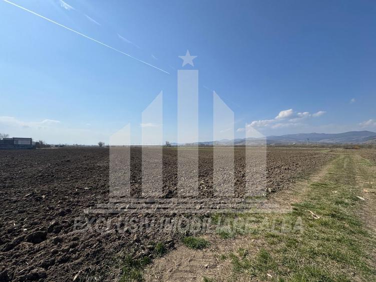 Teren intravilan | 1600 mp | 16 ml deschidere | Oarda de Jos