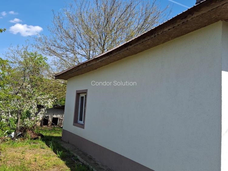 Vanzare casa 4 camere Tamadau Mare - Calarasi - 6