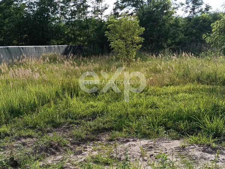 TEREN INTRAVILAN 712 MP | 17 ML DESCHIDERE | UTILITĂȚI | APROAPE DE COSTEȘTI - 5