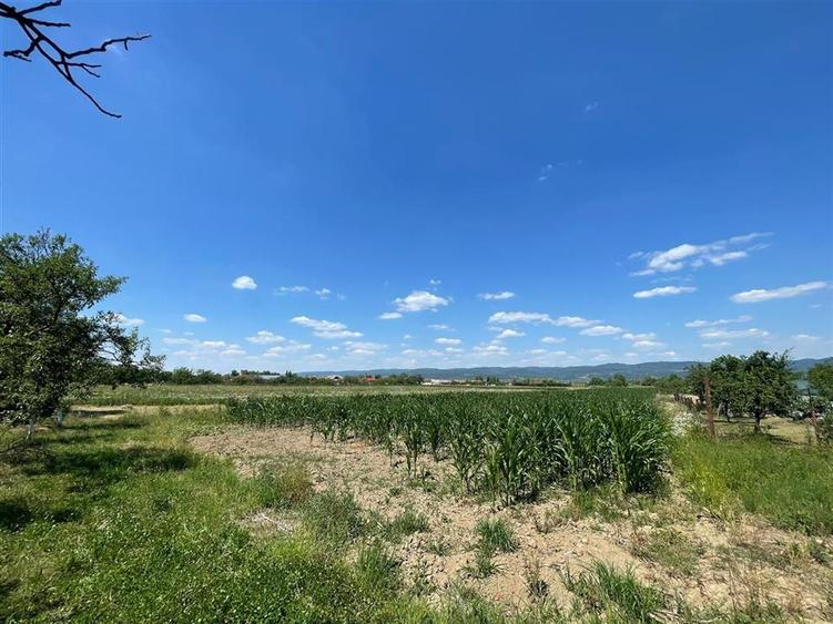 CASA LA TARA | 6770MP TEREN | JOSANI | BIHOR |