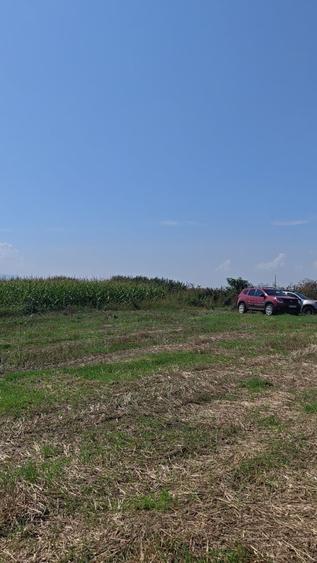Teren agricol sau zona agrement HALCHIU - langa Lacuri si Balastiera