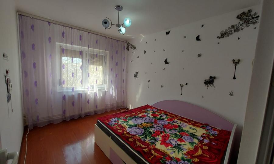 Apartament spatios Nae Leonard