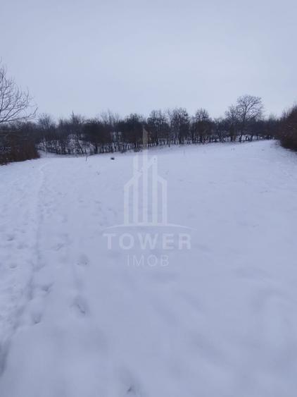 Teren intravilan 2.295 mp, deschidere 60 m – Rășinari, comision 0%