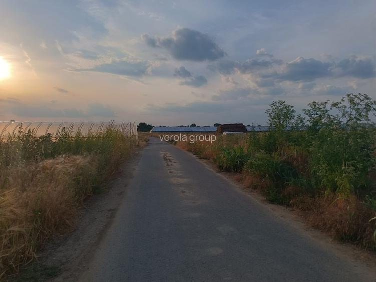 Teren Campurelu  Giurgiu - 2