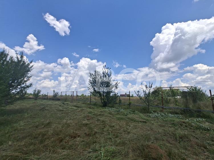 Teren extravilan in zona Aerodrom Magura din Cisnadie - Cabana - 12