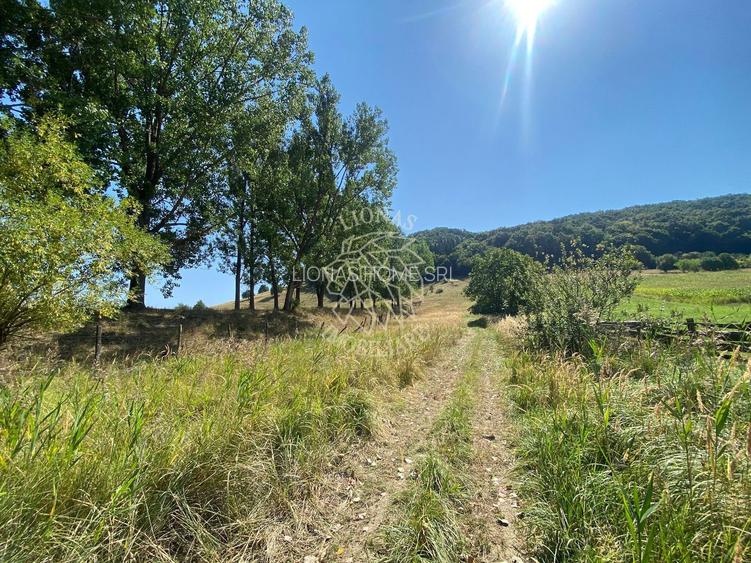 Teren intravilan 2600 mp - pretabil casa/investitie-Zona Aerodrom - 5