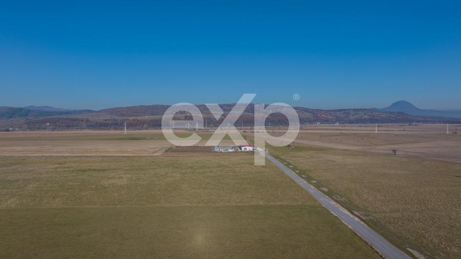 Teren 11.600 mp – Râșnov, zona Tabăra, 230 m de DN 73