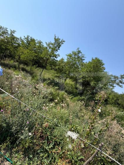 Teren intravilan, 1.748 mp, zona Crairât - 2